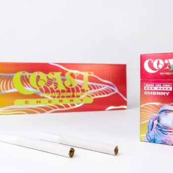 COAST CBD SMOKES | FILTERED PREOLLS
