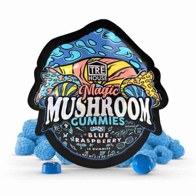 Trehouse Mushroom Gummies Blue Raspberry Jul 26
