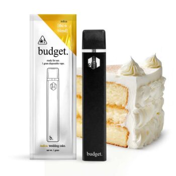 Budget THCA/HHC 1-Gram Disposables