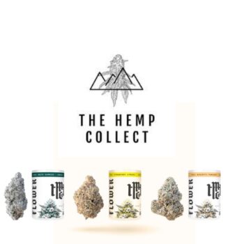 MODERN HERB CO - HAND TRIMMED THCA FLOWER